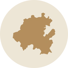 Reserva Zapotlán – AIFA (Hidalgo)